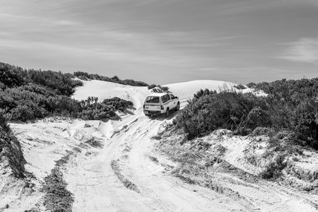 Struisbaai, South Africa - Sep 22, 2022: A pick-up truck is visible on the road to the Struisbaai Plaat, one of the longest uninterrupted beaches in the Southern Hemisphere. Monochromeのeditorial素材