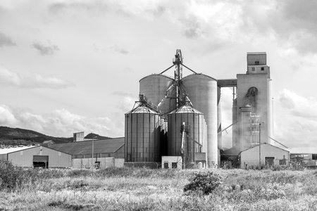 Bredasdorp, South Africa - Sep 23, 2022: A street scene, with grain silos, in Bredasdorp in the Western Cape Province. Monochromeのeditorial素材