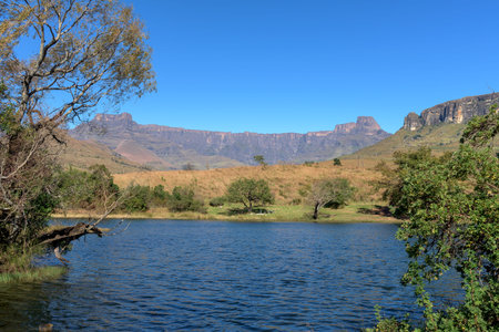 The Amphitheatre as seen from across the trout dam in the Royal Natal National Park.の写真素材