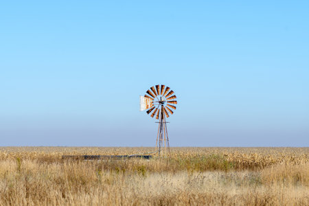 A rusted windmill and dam in a maize field ready for harvestの写真素材