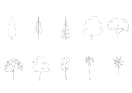 tree line drawing, Side view, graphics trees elements single object outline minimal plant symbol for architecture and landscape design. Vector illustration in stroke fill in white.のイラスト素材
