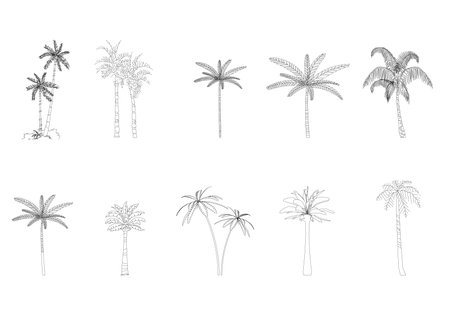 tree line drawing side view graphics trees elements single object outline minimal plant symbol for architecture and landscape design. Vector illustration in stroke fill in white. forest, tropical.のイラスト素材