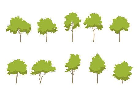 tree line drawing side view graphics trees elements single object outline minimal plant symbol for architecture and landscape design. Vector illustration in stroke fill in white. fのイラスト素材