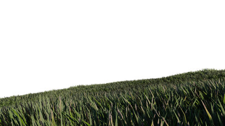nature grass meadow land lush greenery landscape lawn isolated background. meadow green hill plant...