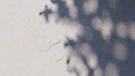 shadow overlay wall texture sunlight leaf shade abstract 3d render. shadows light nature plant leaves branch tree foliage design backdrop. wallpaper mockup background white effect minimal natural.の写真素材