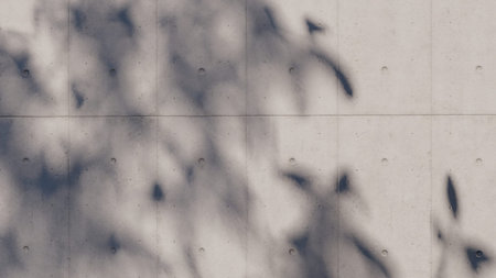 shadow overlay wall texture sunlight leaf shade abstract 3d render. shadows light nature plant leaves branch tree foliage design backdrop. wallpaper mockup background white effect minimal natural.の写真素材