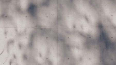 shadow overlay wall texture sunlight leaf shade abstract 3d render. shadows light nature plant leaves branch tree foliage design backdrop. wallpaper mockup background white effect minimal natural.の写真素材