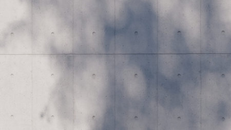 shadow overlay wall texture sunlight leaf shade abstract 3d render. shadows light nature plant...