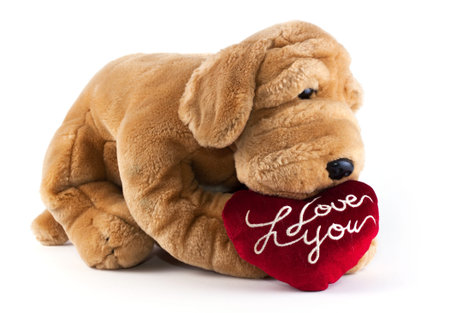Dog Soft Toy with red heart saying I Love Youの写真素材