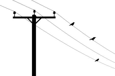 Telegraph pole with three birds on the wires in silhouetteの写真素材