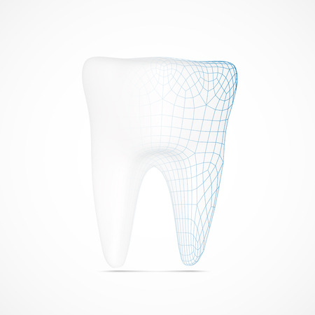 Creative tooth symbol with wire frame structure. のイラスト素材