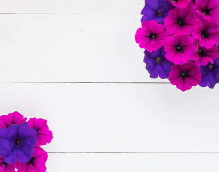 A large and small bouquet of bright pink and blue petunias on white painted boards. . Top view. Copy space.の写真素材