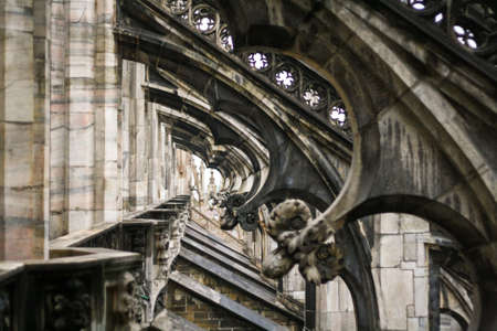 The roof of the gothic cathedral of Milan - Duomoの写真素材