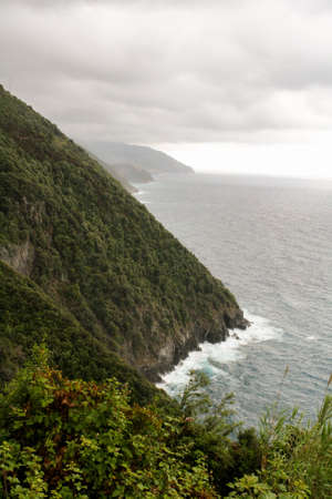 High forested mountains and stormy sea under the low clouds.の写真素材