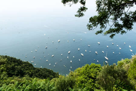 Many white boats near the Ligurian coastの写真素材