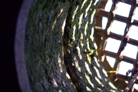 Concrete ventilation well with moss, with a lattice with large cells.の写真素材