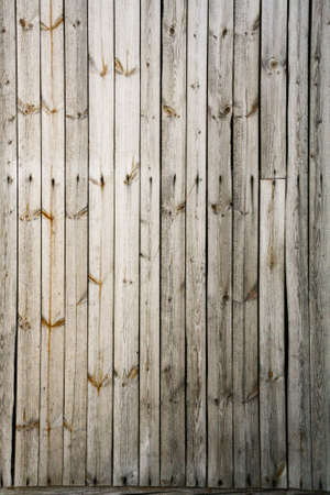 The old gray unpainted boards with knots and rusty nails.の写真素材