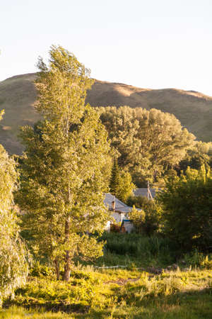 Village houses among the trees and grass in the summer on a background of mountains.の写真素材