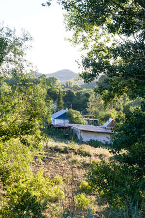 Village houses among the trees and grass in the summer on a background of mountains.の写真素材