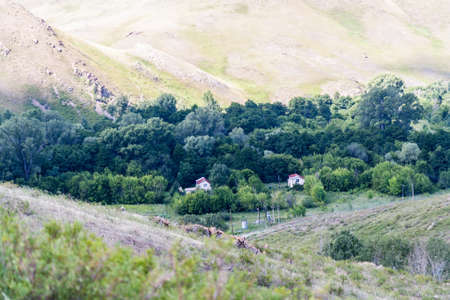 Village houses among the trees and grass in the summer on a background of mountains.の写真素材