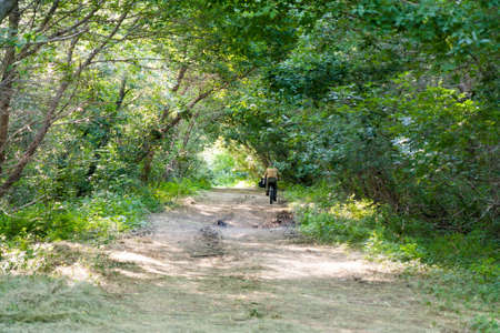 Cyclist on the road through the trees in summer green forest.の写真素材