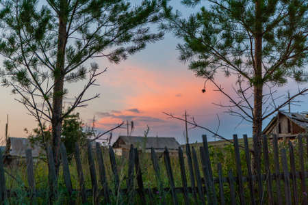 Old fence, pine and rural landscape and sunset.の写真素材