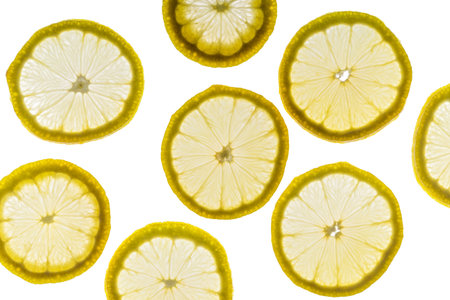 Sliced lemon circle on white background in back light. View from above.の写真素材