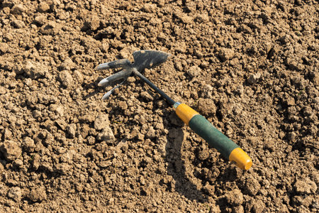 One gardening hand tool on soil - hoe