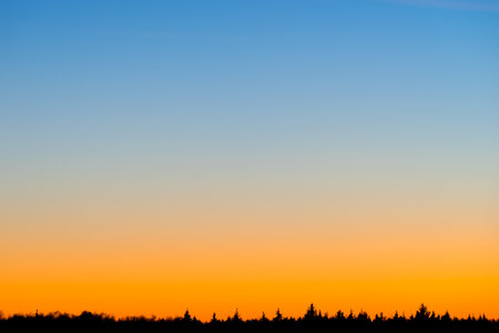 Sunset sky gradient from orange color to blue over forest horizon silhouette. Space for copy and textの写真素材