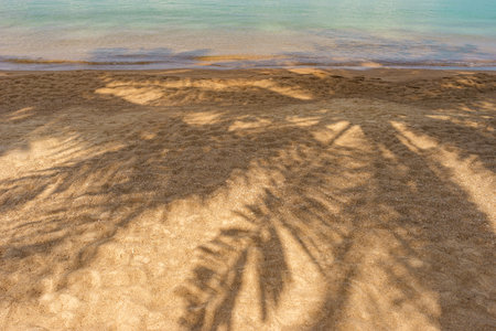 Palm leaf shadows on sand on tropical paradise idyllic beach on shore in sunny day. natural nature background. copy spaceの写真素材