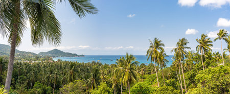 Tropical landscape panorama with palms, blue sky and view on sea horizon from the high in sunny day. Paradise Koh Tao island in Thailandの写真素材