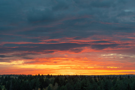 Colorful orange and dark blue dramatic clouds on sky during sunset over the forest horizon. Beautiful fabulous natural backgroundの写真素材