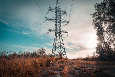 Electricity tower and wires in the field at sunset in autumnの写真素材