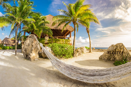 A tropical Caribbean beach landscape scene with a hammock, palm trees and blue sky in sunny day. Vacations in Xcaret park in Mexico in Riviera Mayaの写真素材