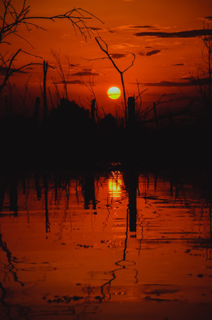 sunsetの写真素材