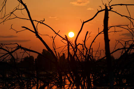 beautiful sunset on the lakeの写真素材
