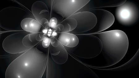 Abstract fractal white flower on black background. Black and white illustration.の写真素材