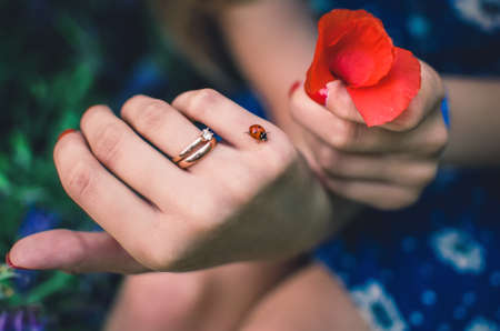 Hand of a girl with fair skin with two rings on a ring finger with red polka dots manicure.On the hand a ladybug.the other hand the girl holds a red poppy flower. Womens blue dress with a daisy printの写真素材