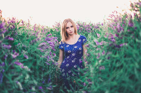 light-skinned European blonde young slim girl walks on tall grass overgrown with purple flowers. Womens blue short skin-tight dress with white daisy print.の写真素材