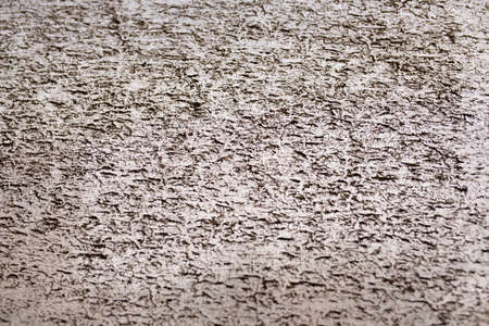 Black earthy mud on transparent glass on white background. Car glass on which dirt collected after the trip.の写真素材