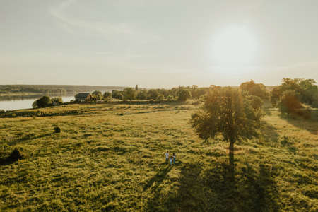 Summer warm sunny field. Meadow and tall trees through which the rays of the sun make their wayの写真素材
