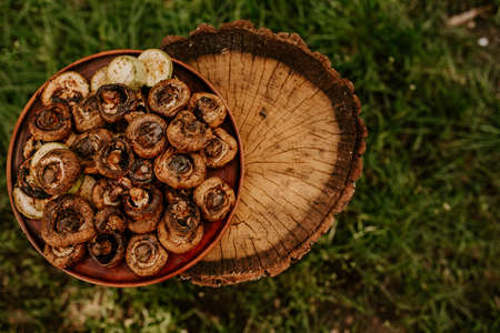 Cooked baked champignon mushrooms lie on a brown clay plate on a cracked brown hemp. Summer green blurred grass background.の写真素材