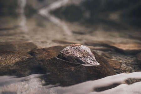 two engagement simple gold rings on na stand on a gray stone in the middle of clear transparent crystal water. rockes scattered on the sand can be seen through the clear waterの写真素材