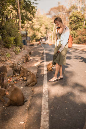 Caucasian traveller woman with Little smart active monkeys in the wild eat watermelons and friends run. Green Jungle creepers overgrown. Thailand Phuket Monkey Mountain.の写真素材