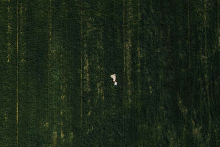 married couple a man with a pregnant woman with a big belly stand on a wooden bridge on coast lake river in nature. Aerial drone top viewの写真素材
