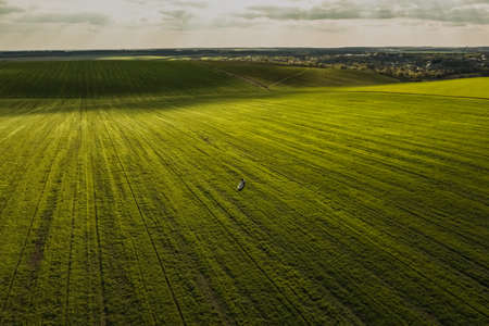 Couple man and woman in a dress go on a meadow. green field from the sky. aerial top view from droneの写真素材