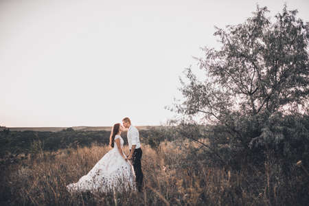 bride and groom in wedding white dress walking on the meadow in summer at sunset