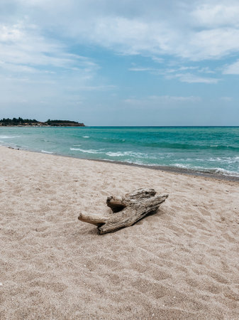 log on white sand beach sea blue aquamarine waves line. Soft wave ocean foam. Natural background sky sunny beach. Template free space pattern wallpaper mockup. summer background Black sea waves marineの写真素材