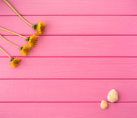 Summer abstract background mockup template free copy space text pattern sample top view above on pink wooden board. blank empty area for inscription. corners flowers borders frames yellow dandelionsの写真素材