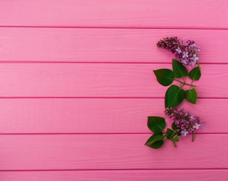 Summer abstract background mockup template free copy space for text pattern sample top view above on pink wooden board. blank empty area for inscription. in corners flowers borders frames lilac bloomの写真素材